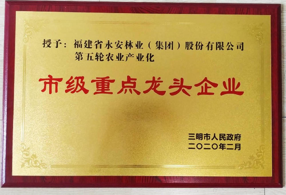 2020市級重點龍頭企業(yè)