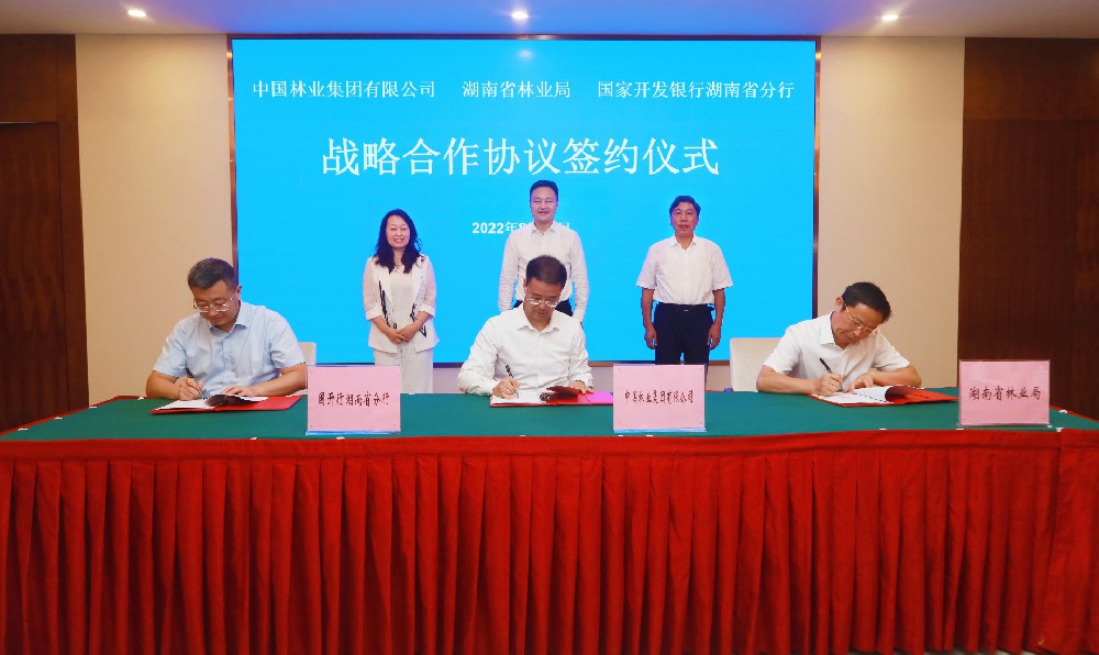 中林集團與湖南省林業局、國開行湖南省分行簽署戰略合作協議