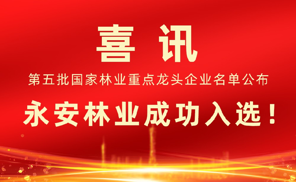 第五批國(guó)家林業(yè)重點(diǎn)龍頭企業(yè)名單發(fā)布！永安林業(yè)成功入選！