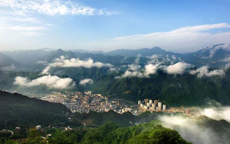 中林集團(tuán)：把主題教育成果轉(zhuǎn)化為助推美麗中國建設(shè)的生動實(shí)踐