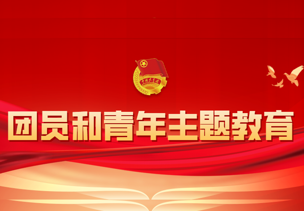 中林集團所屬各團支部高質量召開團員和青年主題教育專題組織生活會