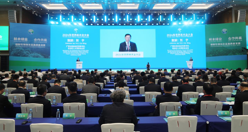 中林集團攜多個林木產品亮相2024年世界林木業大會