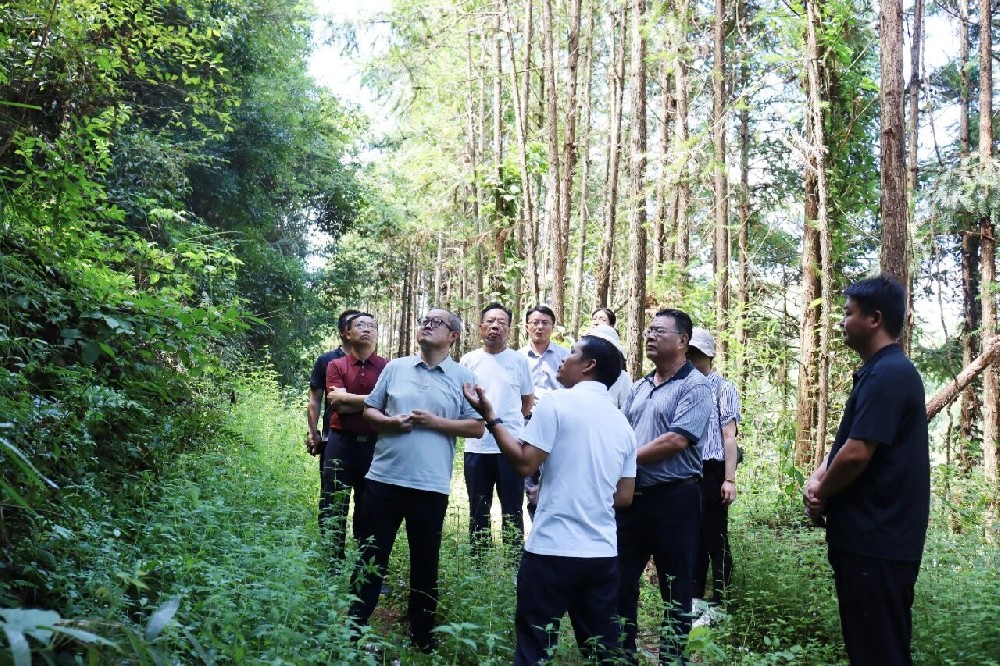 中國林業(yè)集團外部董事赴廣東、福建開展林業(yè)產(chǎn)業(yè)高質(zhì)量發(fā)展專題調(diào)研
