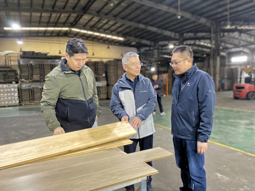 集團專職董事管清奎赴永安林業開展專項調研