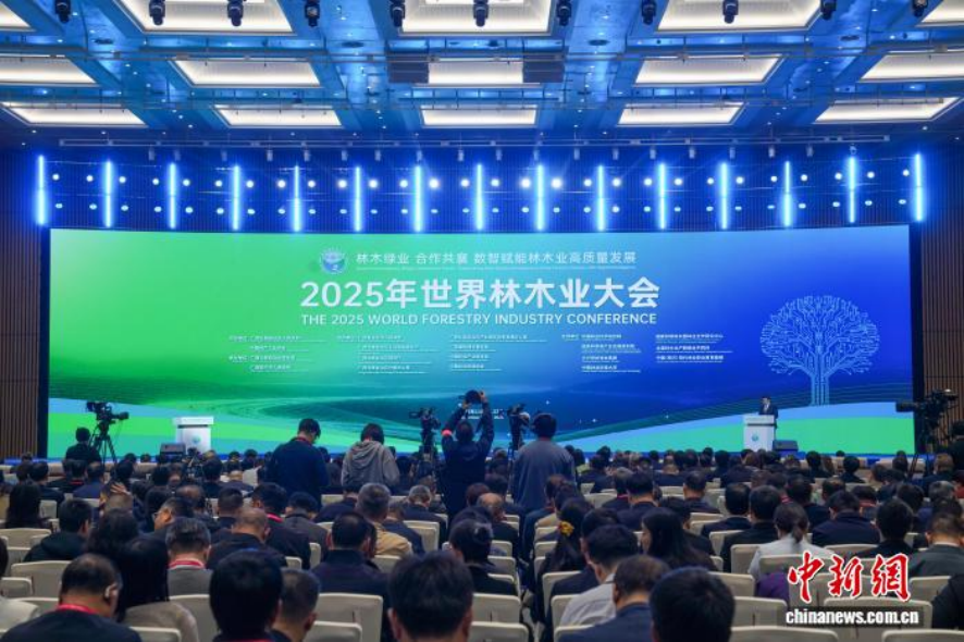 中國林業集團亮相2025年世界林木業大會 為生態文明建設提供“國家隊”實踐方案