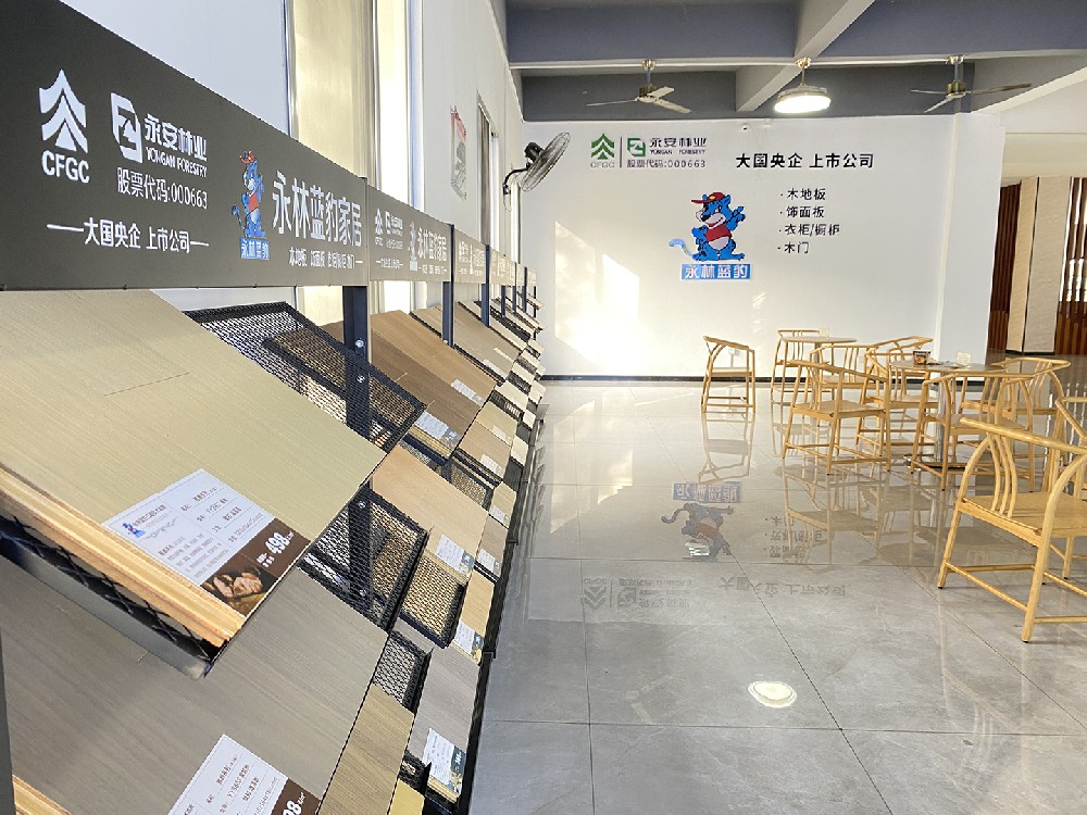 【子企業動態】永林藍豹“高速”啟航，品牌魅力再升級