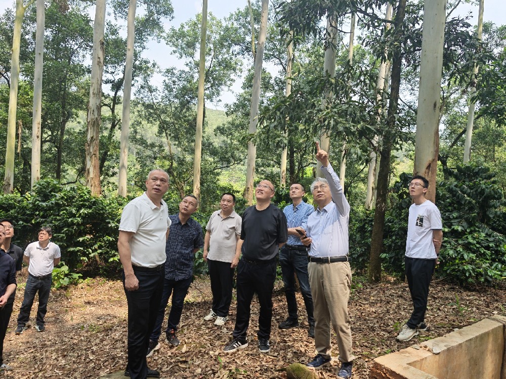 陸元昌教授赴永安林業(yè)專題調(diào)研國家儲備林建設(shè)情況